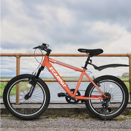 20-Inch Kids' Mountain Bike