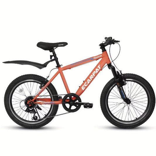 20-Inch Kids' Mountain Bike